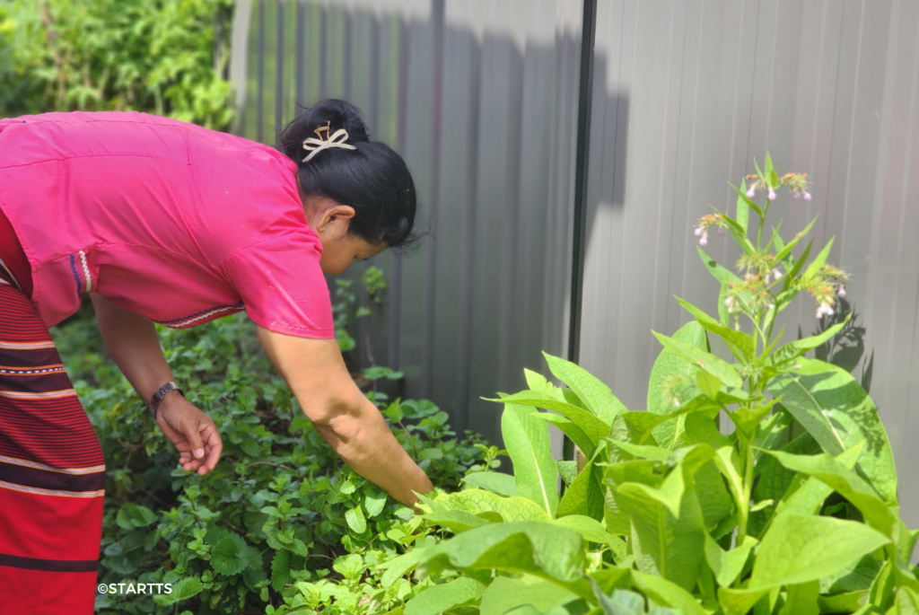 29Collaborative Care for Karenni and Karen Women in Illawarra - Picture 1